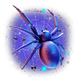 Spider on web TikTok LIVE gift