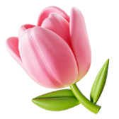 Tulip TikTok LIVE gift