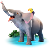 Ellie the Elephant TikTok LIVE gift