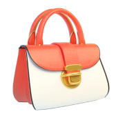 Bag TikTok LIVE gift