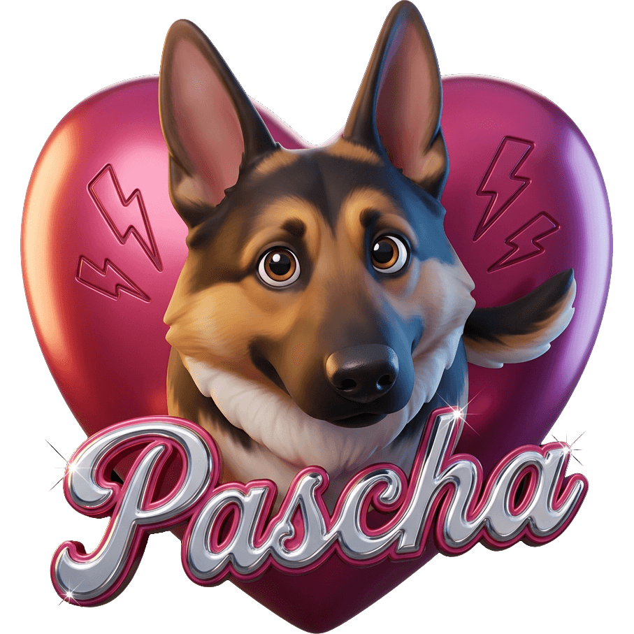 Wachhund Pascha TikTok LIVE gift