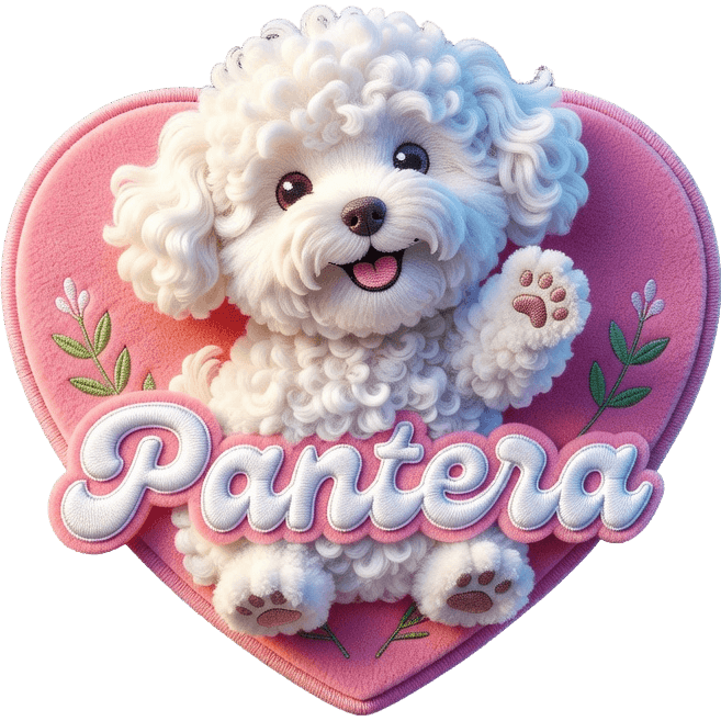 Totto Purcel TikTok LIVE gift