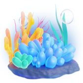 Coral TikTok LIVE gift