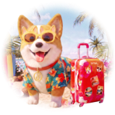 Travel with Corgi TikTok LIVE gift
