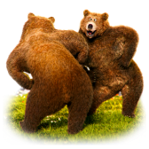 Dancing Bears TikTok LIVE gift