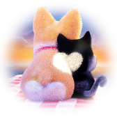 Love in Sunset TikTok LIVE gift