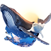 Seal and Whale TikTok gift