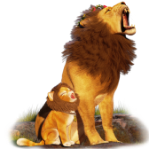 Leon and Lion TikTok gift