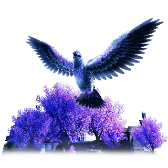 Nightshade Beast TikTok LIVE gift