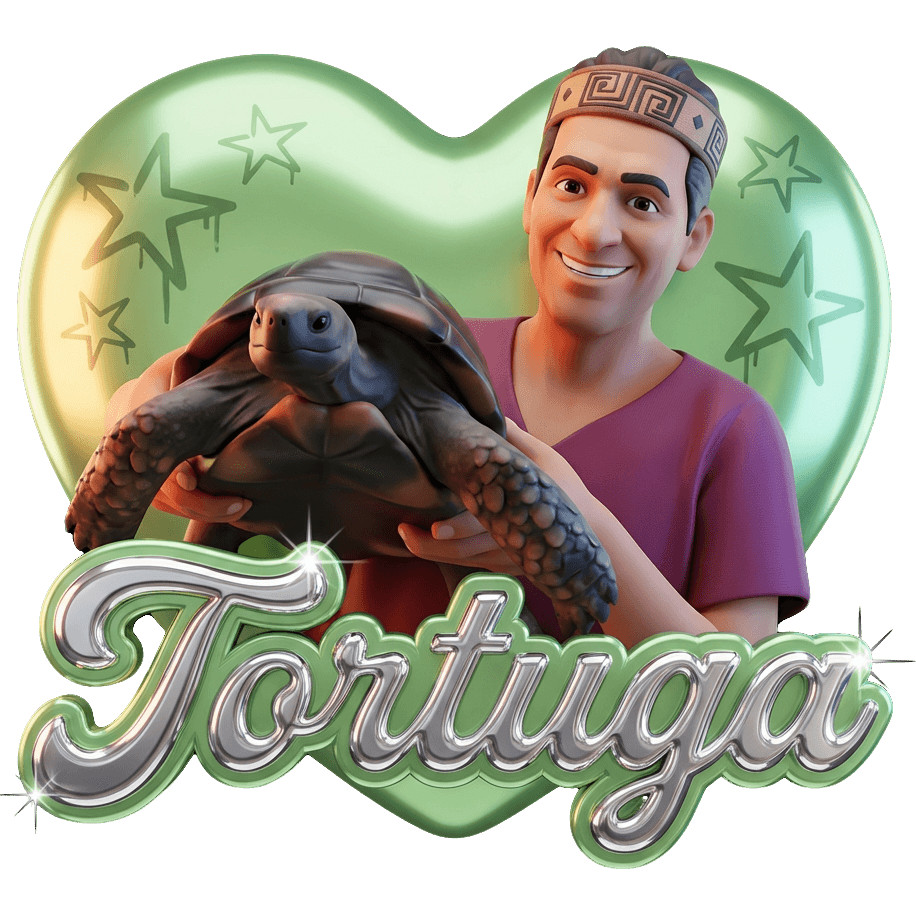 Tortuga Constanza TikTok LIVE gift