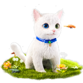 The Van Cat TikTok LIVE gift