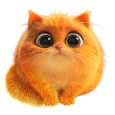 TOFU Cat TikTok LIVE gift