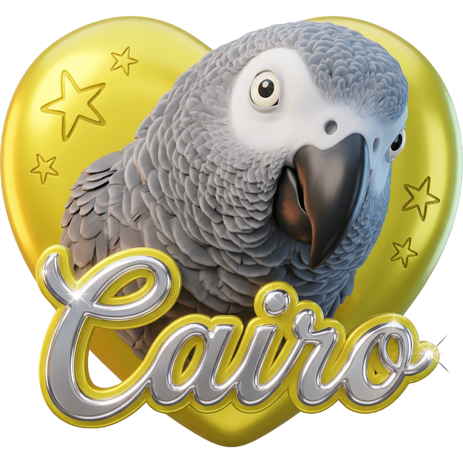 Cairo Grey TikTok LIVE gift