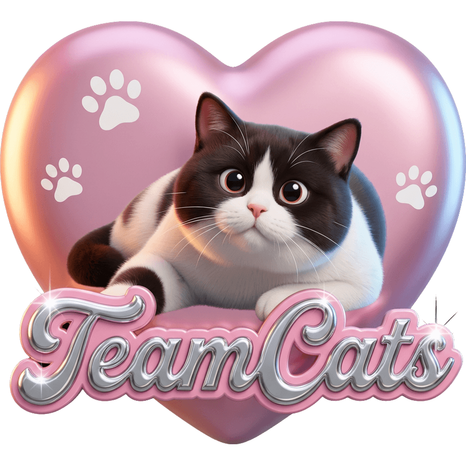 TeamCats Kätzchen TikTok LIVE gift