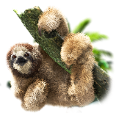 Sloth TikTok LIVE gift