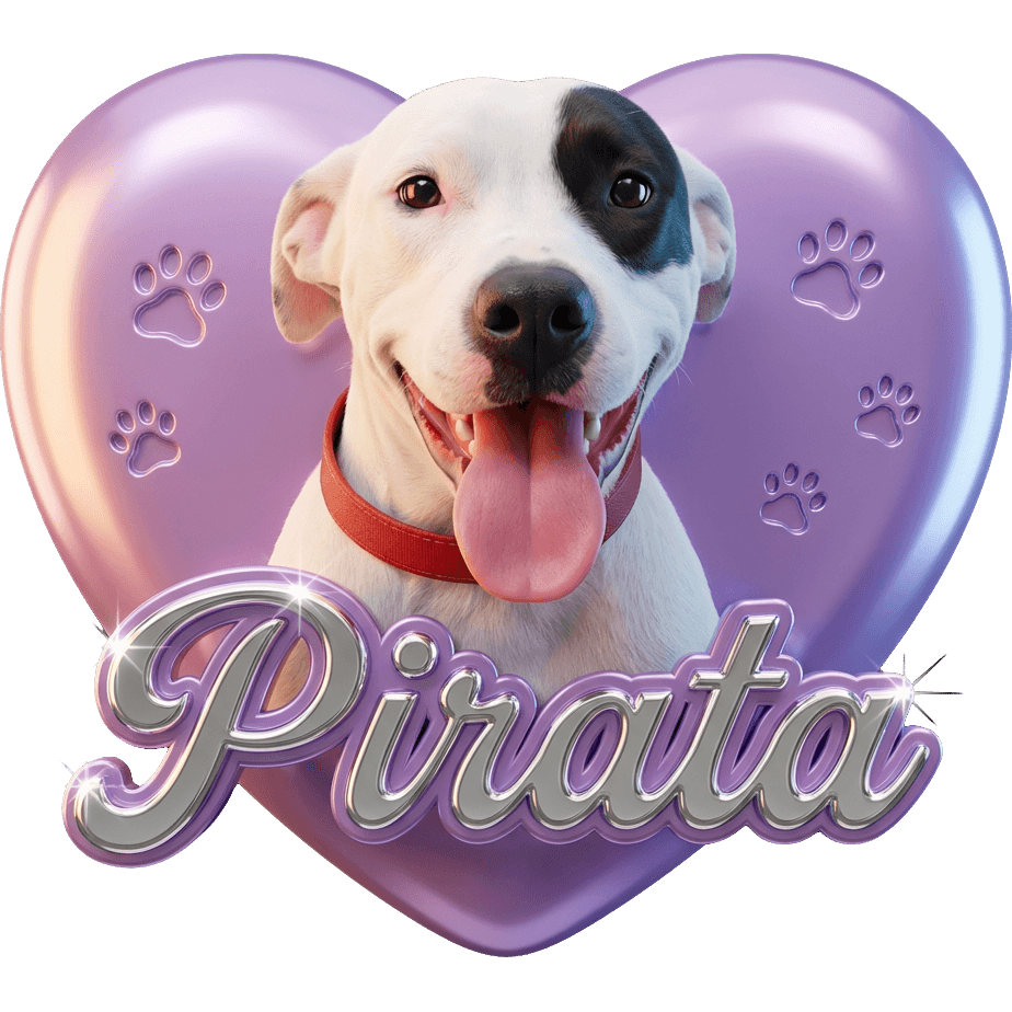 Pirata Por Siempre TikTok LIVE gift