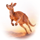 Kangaroo TikTok LIVE gift