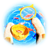 Goldfish TikTok LIVE gift