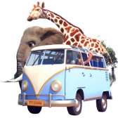 Safari Park TikTok LIVE gift