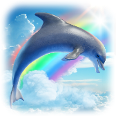 Dolphin Symphony TikTok LIVE gift