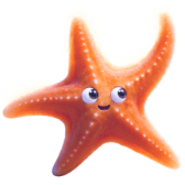 Starfish TikTok LIVE gift