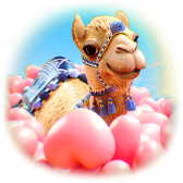 Camel's Love TikTok LIVE gift