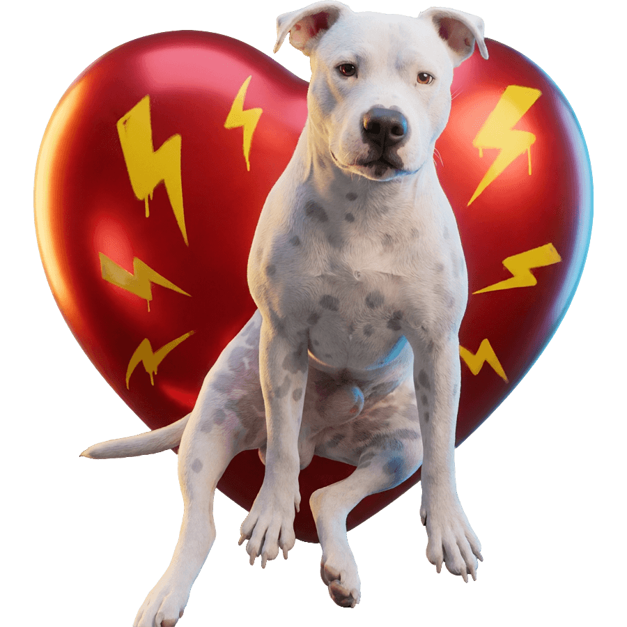 Pitbull Roșu TikTok LIVE gift