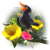 Hornbill Treasure TikTok LIVE gift