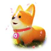 Sakura Corgi TikTok LIVE gift