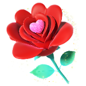 Roses TikTok LIVE gift