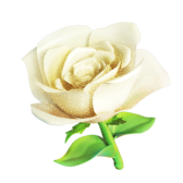 White Rose TikTok LIVE gift