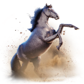 Arabian Stallion TikTok LIVE gift