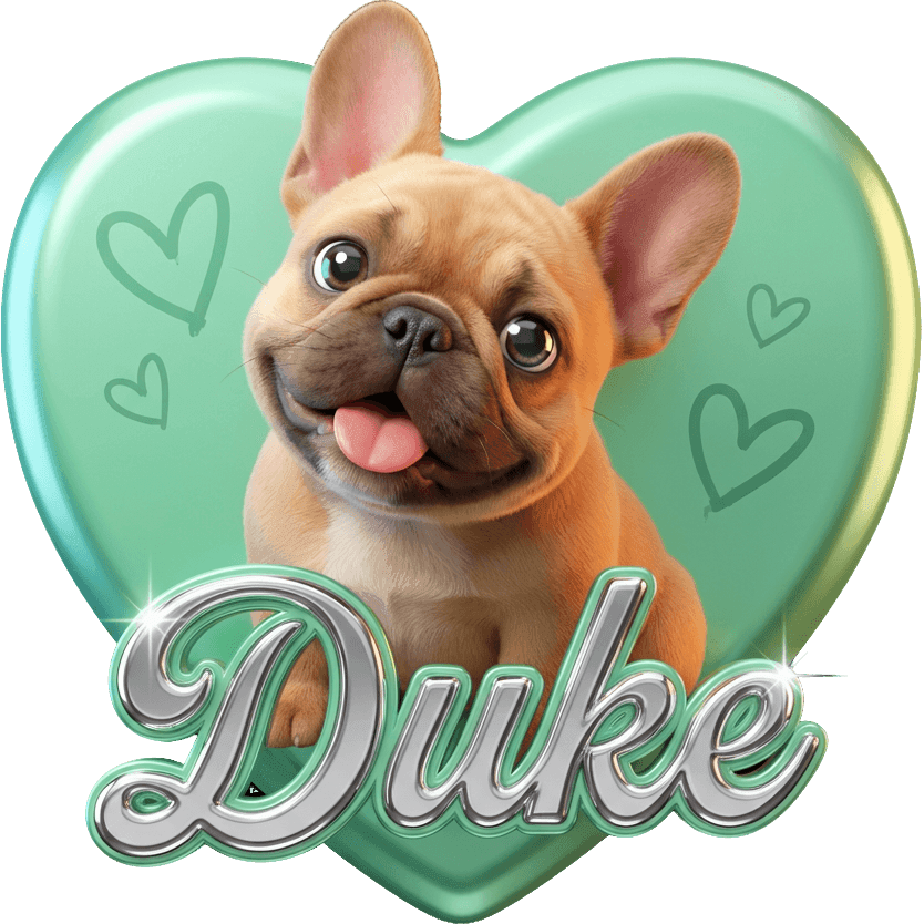 DUKE TikTok LIVE gift