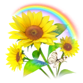 Sunflower TikTok LIVE gift