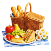 Summer Picnic TikTok LIVE gift