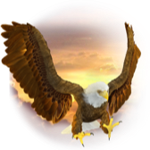 Falcon TikTok LIVE gift