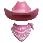 Pink Cowboy TikTok LIVE gift