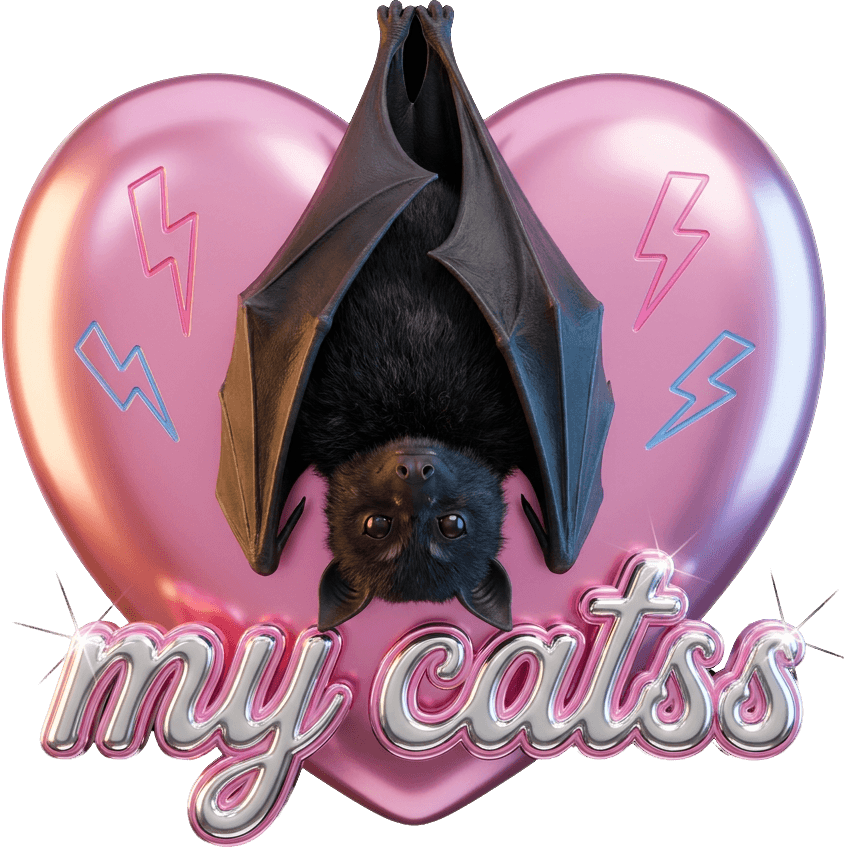 flying cat TikTok LIVE gift