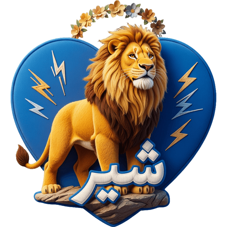 mudeer TikTok LIVE gift