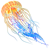Glowing Jellyfish TikTok LIVE gift