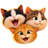 Street cats TikTok LIVE gift