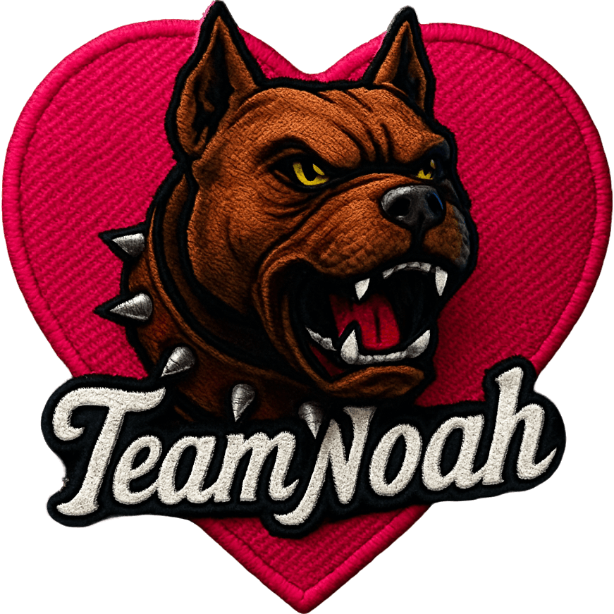 Team Noah TikTok LIVE gift