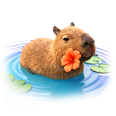Capybara Swim TikTok LIVE gift
