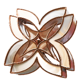 New star TikTok LIVE gift