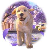 Jacaranda Season TikTok LIVE gift