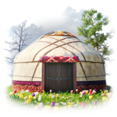 Yurt TikTok LIVE gift