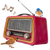 A Garden Yonder TikTok LIVE gift