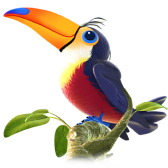 Toucan TikTok LIVE gift