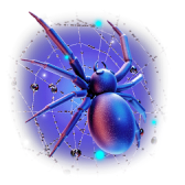 spider TikTok LIVE gift