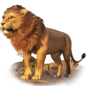 Lion TikTok gift